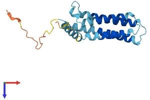 AlphaFold protein structure predicition of Mouse Recombinant Cmtm2a Protein, UniprotID Q9DAR1 (CMTM2A Protein (AA 1-169) (His tag))