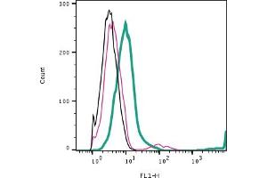 Cell surface detection of PAR2 by direct flow cytometry in live intact human Jurkat T-cell leukemia cells: + Rabbit IgG Isotype Control-FITC (ABIN7582044).