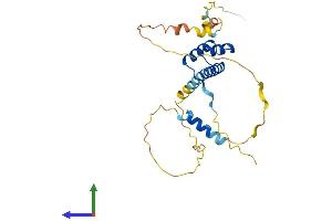Protein Structure (PS) image for Paired Related Homeobox 2 (PRRX2) (AA 1-247) protein (His tag) (ABIN7556904)