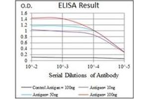 ELISA image for anti-Replication Protein A1, 70kDa (RPA1) antibody (ABIN1108896) (RPA1 antibody)