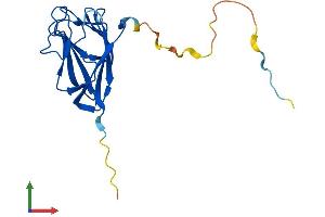 AlphaFold protein structure predicition of Human Recombinant TIFA Protein, UniprotID Q96CG3 (TIFA Protein (AA 1-184) (His tag))