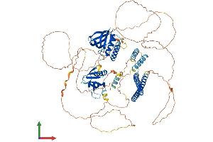 Protein Structure (PS) image for Actin Filament Associated Protein 1-Like 2 (AFAP1L2) (AA 1-825) protein (His tag) (ABIN7557431)