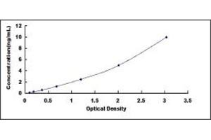 Typical standard curve (FLT1 ELISA Kit)