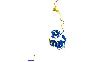 AlphaFold protein structure predicition of Human Recombinant COA5 Protein, UniprotID Q86WW8 (COA5 Protein (AA 1-74) (Fc Tag))