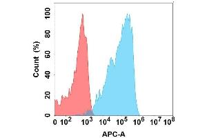 Flow Cytometry (FACS) image for anti-Transforming Growth Factor, beta Receptor II (70/80kDa) (TGFBR2) antibody (ABIN7490782)