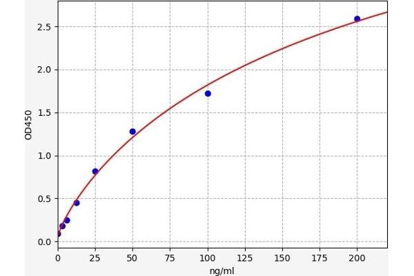 C9 ELISA Kit