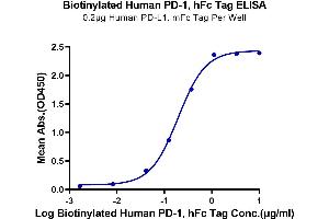 Immobilized Human PD-L1, mFc tag at 2 μg/mL (100 μL/Well). (PD-1 Protein (Fc-Avi Tag,Biotin))