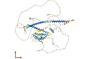 AlphaFold protein structure predicition of Mouse Recombinant Pbxip1 Protein, UniprotID Q3TVI8