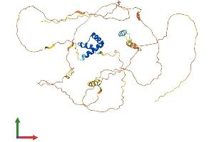 Protein Structure (PS) image for Iroquois Homeobox Protein 4 (IRX4) (AA 1-515) protein (His tag) (ABIN7561779)