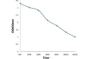 ELISA image for anti-Multiple Endocrine Neoplasia 1 (MEN1) (AA 501-615) antibody (ABIN676343)