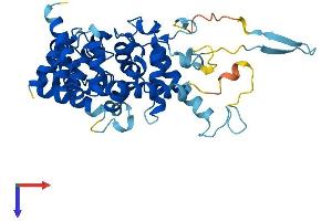 TBC1D13 Protein (AA 1-400) (His tag)