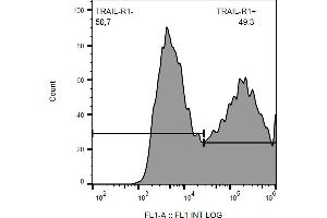 Flow cytometry analysis (surface staining) of CD261-transfected HEK-293 cells with anti-CD261/TRAIL-R1 (DR-4-02) FITC. (TNFRSF10A antibody  (FITC))