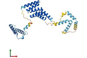 Protein Structure (PS) image for Small Glutamine-Rich Tetratricopeptide Repeat (TPR)-Containing, beta (SGTB) (AA 1-304) protein (His tag) (ABIN7546048)