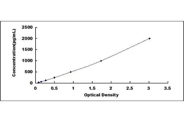 CD9 ELISA Kit