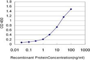 Detection limit for recombinant GST tagged KITLG is approximately 0. (KIT Ligand antibody  (AA 26-135))