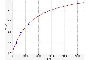 PRODH ELISA Kit