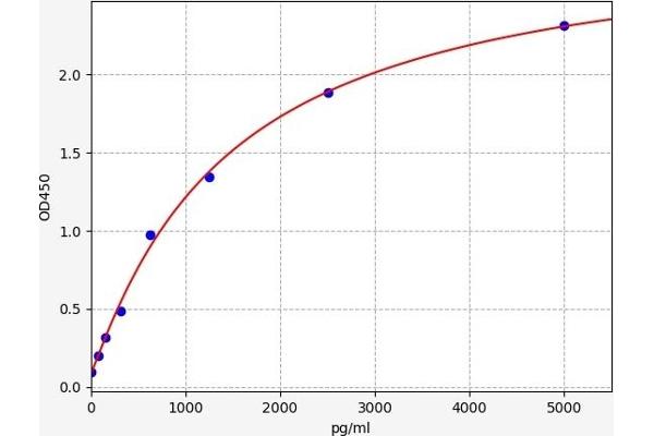 PRODH ELISA Kit