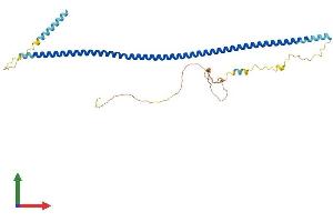 Protein Structure (PS) image for Dystrobrevin Binding Protein 1 (DTNBP1) (AA 1-351) protein (His tag) (ABIN7553755)