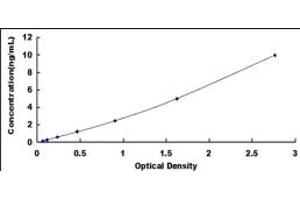 Typical standard curve (CRLF1 ELISA Kit)