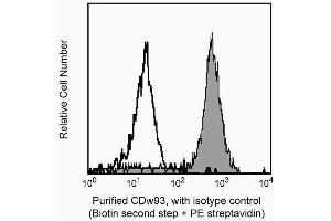 Expression of C1qRp by unstimulated human peripheral blood mononuclear cells (PBMC). (CD93 antibody)