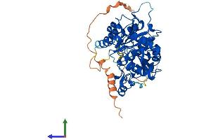 AlphaFold protein structure predicition of Mouse Recombinant Mgat2 Protein, UniprotID Q921V5