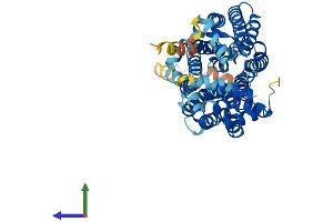 AlphaFold protein structure predicition of Mouse Recombinant Slc2a2 Protein, UniprotID P14246