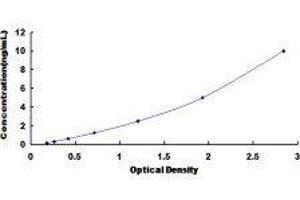 Prothrombin ELISA Kit