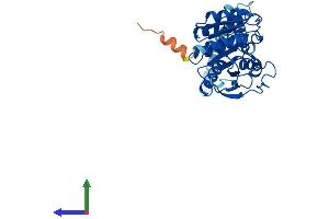 AlphaFold protein structure predicition of Human Recombinant ABHD13 Protein, UniprotID Q7L211 (ABHD13 Protein (AA 1-337) (His tag))
