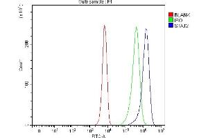 Flow Cytometry analysis of K562 cells using anti-STAT2 antibody (ABIN5692942). (STAT2 antibody)