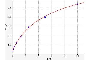 NFATC1 ELISA Kit