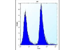 MGMT Antibody (N-term) (ABIN656810 and ABIN2846024) flow cytometric analysis of 293 cells (right histogram) compared to a negative control cell (left histogram). (MGMT antibody  (N-Term))