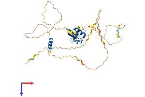 AlphaFold protein structure predicition of Human Recombinant SLC2A4RG Protein, UniprotID Q9NR83 (SLC2A4RG Protein (AA 1-387) (His tag))