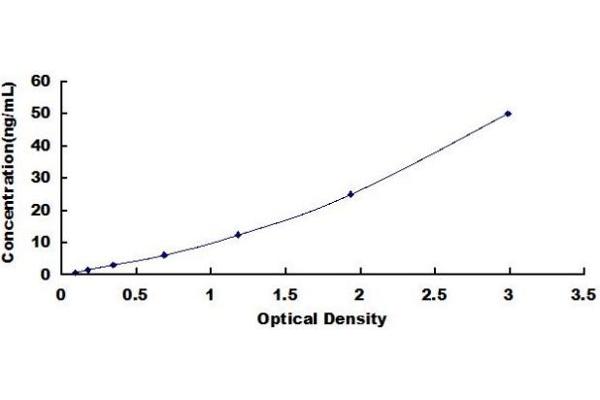 Vinculin ELISA Kit