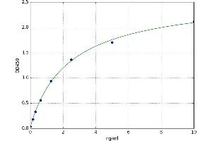 Calcium-Sensing Receptor (CASR) ELISA Kit