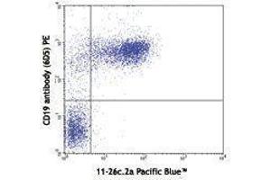 Flow Cytometry (FACS) image for Rat anti-Mouse IgD antibody (Pacific Blue) (ABIN2667176) (Rat anti-Mouse IgD Antibody (Pacific Blue))