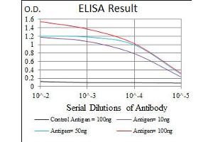 BPIFB1 antibody  (AA 248-475)