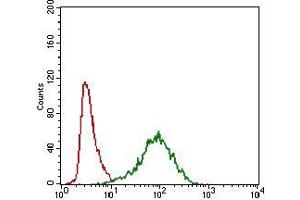 Flow cytometric analysis of A549 cells using ABCC4 mouse mAb (green) and negative control (red). (ABCC4 antibody  (AA 631-692))