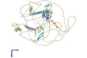 PDZ Domain Containing 4 (PDZD4) (AA 1-772) protein (His tag)