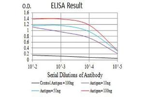 Black line: Control Antigen (100 ng),Purple line: Antigen (10 ng), Blue line: Antigen (50 ng), Red line:Antigen (100 ng) (CD3D antibody  (AA 22-105))