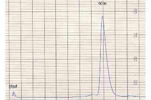 product purity: gel permeation chromatography (Superose 12/HR) (Mouse anti-Human IgE (Fc Region) Antibody)