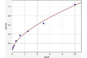 Typical standard curve (RPS6KB1 ELISA Kit)