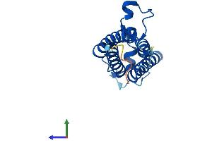 AlphaFold protein structure predicition of Human Recombinant VKORC1 Protein, UniprotID Q9BQB6 (VKORC1 Protein (AA 1-163) (His tag))