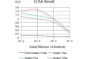 Black line: Control Antigen (100 ng),Purple line: Antigen (10 ng), Blue line: Antigen (50 ng), Red line:Antigen (100 ng) (LRP4 antibody  (AA 21-189))