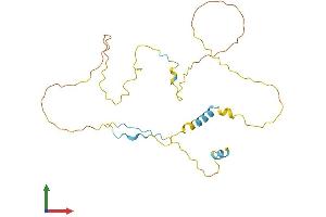Protein Structure (PS) image for Tumor Protein P53 Inducible Nuclear Protein 1 (TP53INP1) (AA 1-239) protein (His tag) (ABIN7565146)