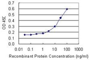 Detection limit for recombinant GST tagged TRIM13 is 1 ng/ml as a capture antibody. (TRIM13 antibody  (AA 1-100))