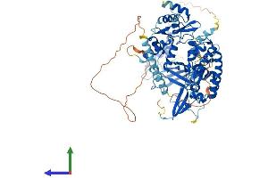 AlphaFold protein structure predicition of Mouse Recombinant Polr3e Protein, UniprotID Q9CZT4 (POLR3E Protein (AA 1-710) (His tag))
