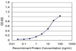 Detection limit for recombinant GST tagged CSPG5 is approximately 1ng/ml as a capture antibody. (CSPG5 antibody  (AA 445-539))