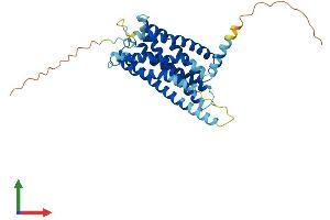 Protein Structure (PS) image for Purinergic Receptor P2Y, G-Protein Coupled, 12 (P2RY12) (AA 1-347) protein (His tag) (ABIN7560487)