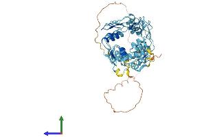 Protein Structure (PS) image for Zinc Finger Protein 30 (ZFP30) (AA 1-519) protein (His tag) (ABIN7545439)