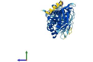 AlphaFold protein structure predicition of Human Recombinant IFI44 Protein, UniprotID Q8TCB0